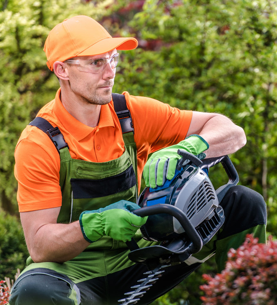 Man Holding Hedge Trimmer